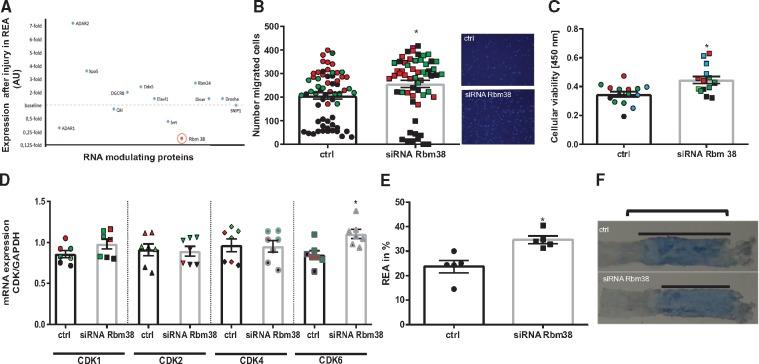 https://cdn.ncbi.nlm.nih.gov/pmc/blobs/a466/6755352/9a62c7e596f8/cvz063f1.jpg