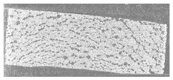 https://cdn.ncbi.nlm.nih.gov/pmc/blobs/a467/8614988/8ca797719053/bioengineering-08-00170-g004.jpg