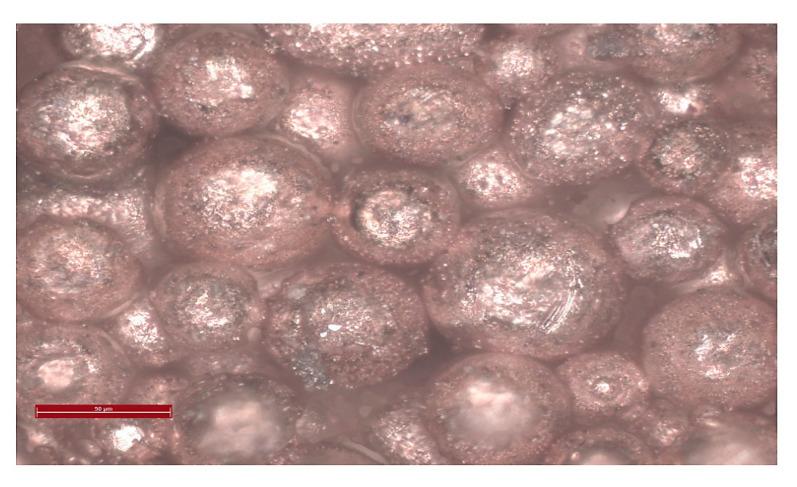 https://cdn.ncbi.nlm.nih.gov/pmc/blobs/a467/8614988/a626d2a4f78c/bioengineering-08-00170-g008.jpg