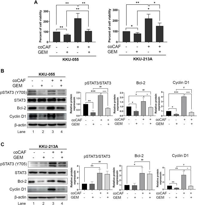 https://cdn.ncbi.nlm.nih.gov/pmc/blobs/a467/9459012/046a429b789a/fphar-13-897368-g003.jpg