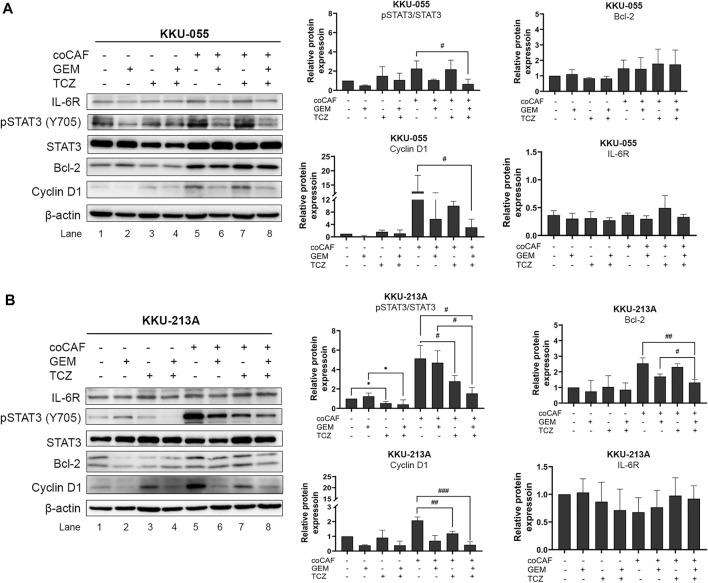 https://cdn.ncbi.nlm.nih.gov/pmc/blobs/a467/9459012/c7d58064daf5/fphar-13-897368-g006.jpg