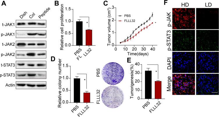 https://cdn.ncbi.nlm.nih.gov/pmc/blobs/a46c/7699996/33a92910beae/CMAR-12-12067-g0003.jpg