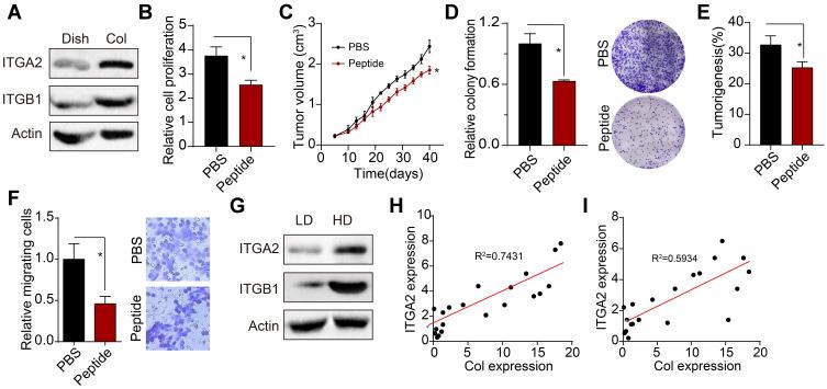 https://cdn.ncbi.nlm.nih.gov/pmc/blobs/a46c/7699996/6c77956fde70/CMAR-12-12067-g0002.jpg