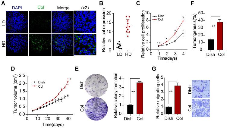 https://cdn.ncbi.nlm.nih.gov/pmc/blobs/a46c/7699996/c59d03f9acaf/CMAR-12-12067-g0001.jpg