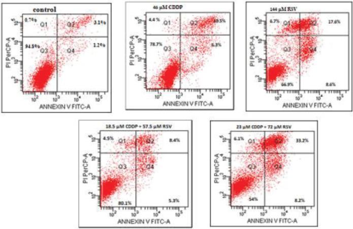 https://cdn.ncbi.nlm.nih.gov/pmc/blobs/a46c/7894626/c7241fab09b0/IJBMS-24-066-g002.jpg