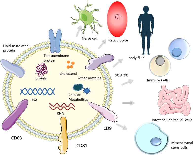 https://cdn.ncbi.nlm.nih.gov/pmc/blobs/a46d/9429695/53b9a457e99e/40001_2022_792_Fig1_HTML.jpg