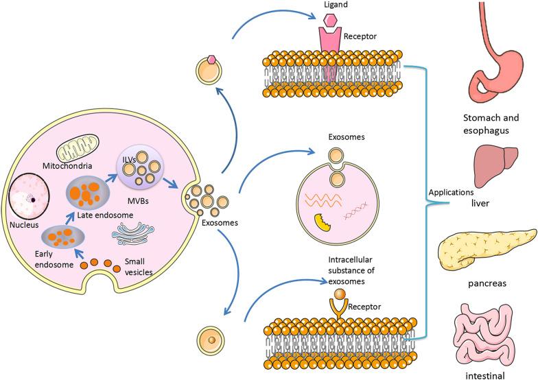 https://cdn.ncbi.nlm.nih.gov/pmc/blobs/a46d/9429695/c642cf1a9eef/40001_2022_792_Fig2_HTML.jpg
