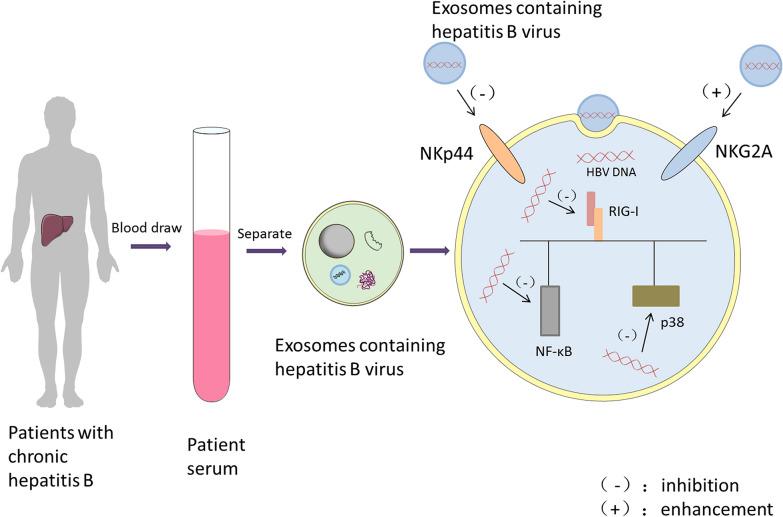 https://cdn.ncbi.nlm.nih.gov/pmc/blobs/a46d/9429695/fc53a621b0d2/40001_2022_792_Fig3_HTML.jpg