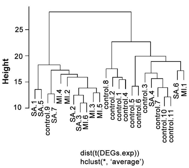 https://cdn.ncbi.nlm.nih.gov/pmc/blobs/a46e/4907106/80e30a28fb03/etm-12-01-0257-g01.jpg