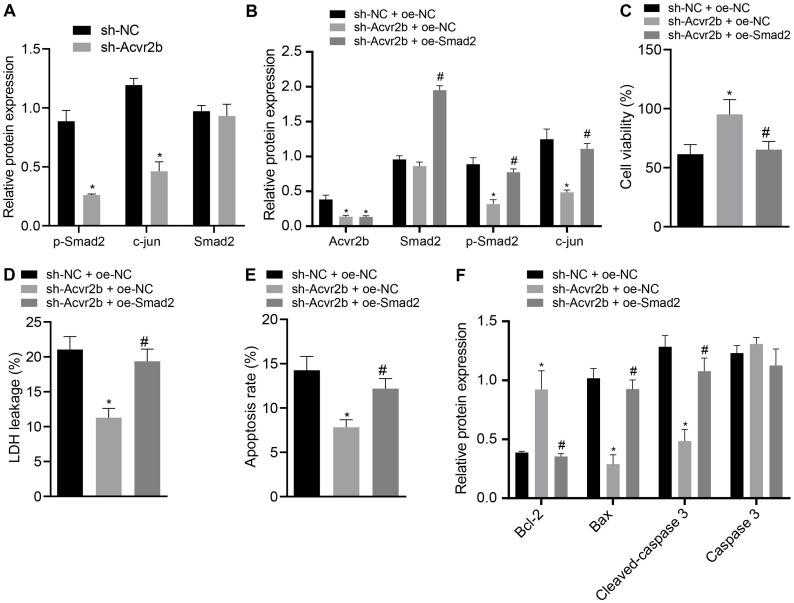 https://cdn.ncbi.nlm.nih.gov/pmc/blobs/a470/7982537/9293e5d482f2/fcell-08-568304-g005.jpg