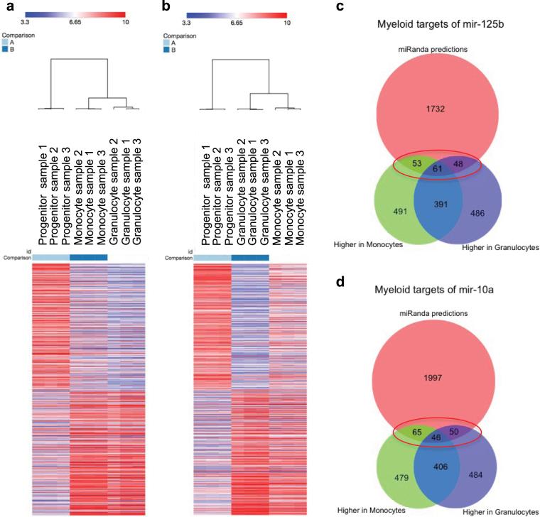 https://cdn.ncbi.nlm.nih.gov/pmc/blobs/a472/5940821/109623d79c0c/41598_2018_24203_Fig4_HTML.jpg
