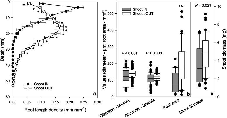 https://cdn.ncbi.nlm.nih.gov/pmc/blobs/a474/7310412/a6ec34dcdf67/13007_2020_631_Fig5_HTML.jpg
