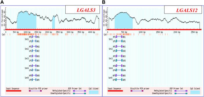 https://cdn.ncbi.nlm.nih.gov/pmc/blobs/a474/9968970/5e90019ddf26/fgene-14-1122864-g001.jpg