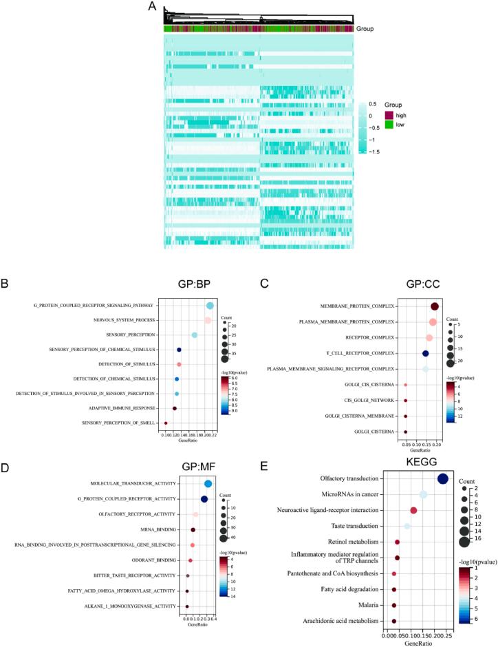 https://cdn.ncbi.nlm.nih.gov/pmc/blobs/a475/11745784/fa678107f9ff/gr7.jpg