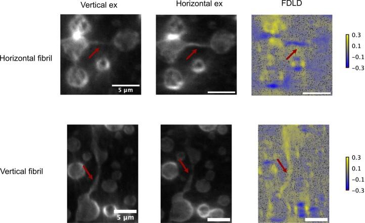 https://cdn.ncbi.nlm.nih.gov/pmc/blobs/a476/11230912/5676e2aaf29e/41557_2024_1467_Fig7_ESM.jpg