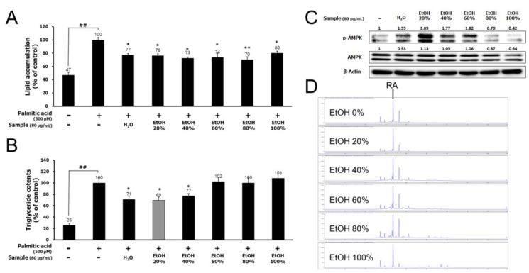 https://cdn.ncbi.nlm.nih.gov/pmc/blobs/a478/7230626/9c2056112a7a/nutrients-12-01166-g001.jpg