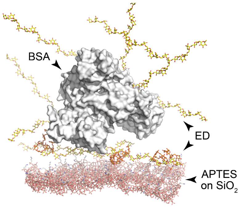 https://cdn.ncbi.nlm.nih.gov/pmc/blobs/a479/8747551/9048842affb9/polymers-14-00152-g003.jpg
