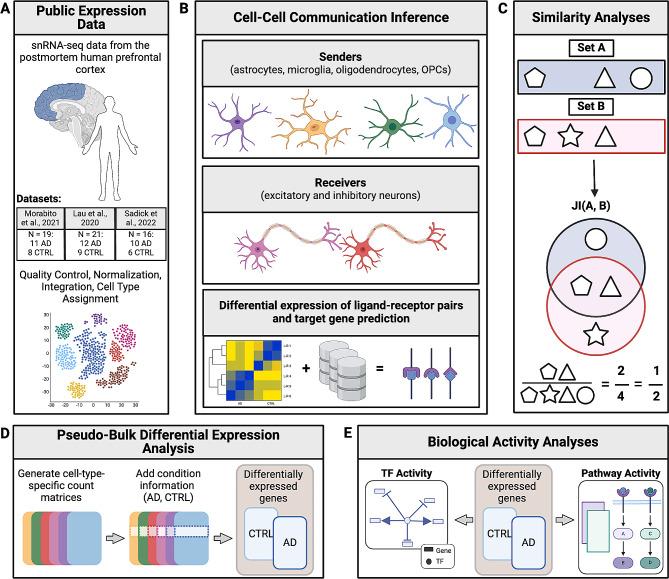https://cdn.ncbi.nlm.nih.gov/pmc/blobs/a47b/11157763/62d3f6e7852c/12964_2024_1686_Fig1_HTML.jpg