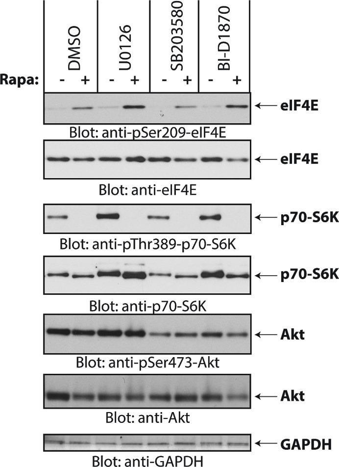 https://cdn.ncbi.nlm.nih.gov/pmc/blobs/a47d/4226695/78c5d534eb62/oncotarget-05-8442-g003.jpg