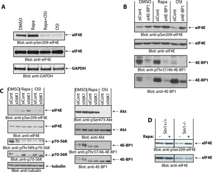https://cdn.ncbi.nlm.nih.gov/pmc/blobs/a47d/4226695/fa47c2fed571/oncotarget-05-8442-g002.jpg
