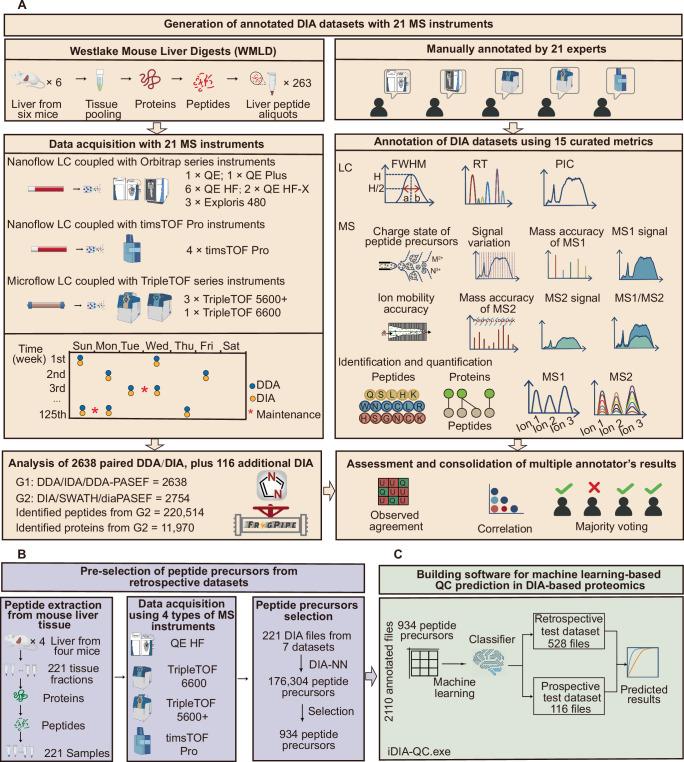 https://cdn.ncbi.nlm.nih.gov/pmc/blobs/a47f/11751188/a14eb7babcef/41467_2024_54871_Fig1_HTML.jpg