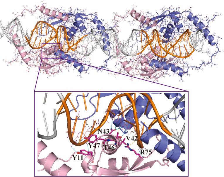 https://cdn.ncbi.nlm.nih.gov/pmc/blobs/a47f/12083890/482118a02cfc/gr3.jpg