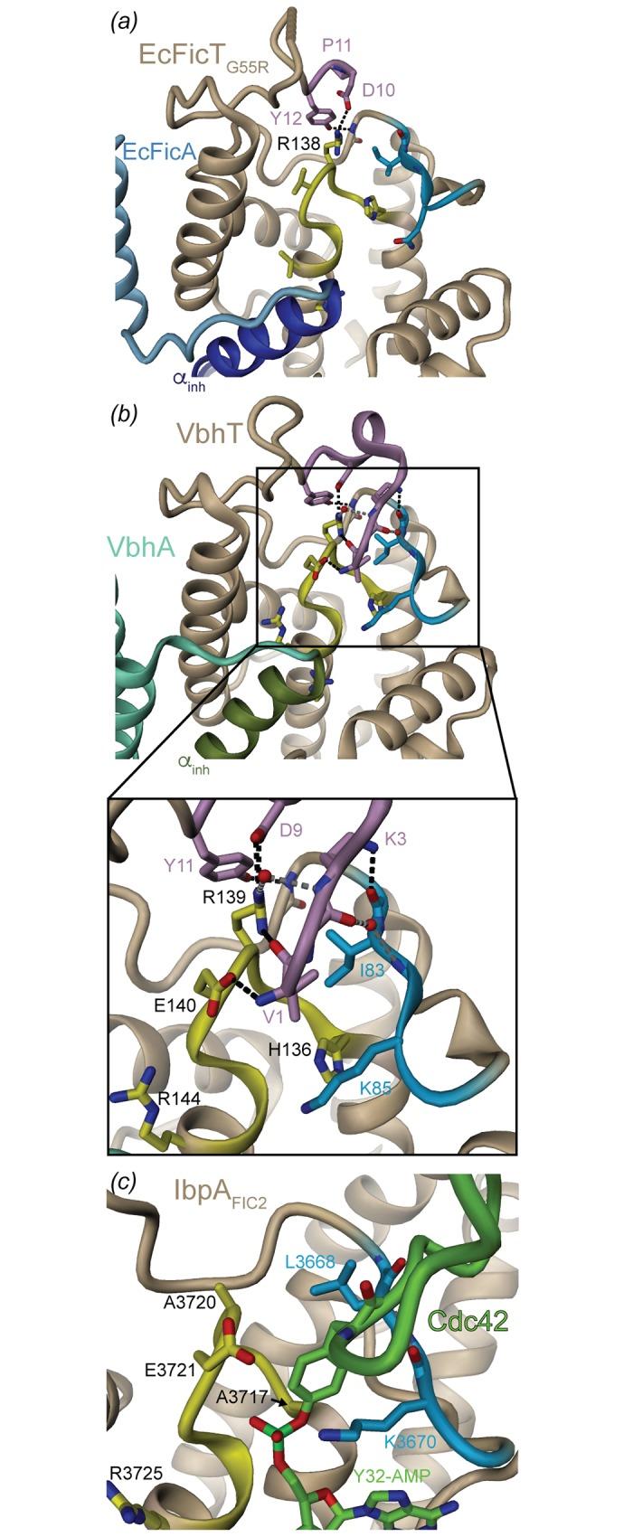 https://cdn.ncbi.nlm.nih.gov/pmc/blobs/a481/5033356/64d43f62a748/pone.0163654.g006.jpg