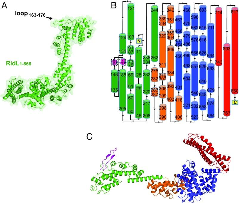 https://cdn.ncbi.nlm.nih.gov/pmc/blobs/a481/5748213/7d8c855413ad/pnas.1715361115fig02.jpg