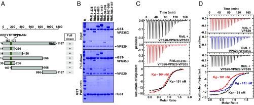 https://cdn.ncbi.nlm.nih.gov/pmc/blobs/a481/5748213/88e3b3d17e72/pnas.1715361115fig01.jpg