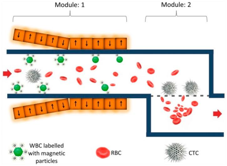 https://cdn.ncbi.nlm.nih.gov/pmc/blobs/a483/10610106/97754204430c/pharmaceutics-15-02482-g007.jpg