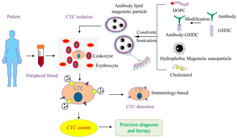 https://cdn.ncbi.nlm.nih.gov/pmc/blobs/a483/10610106/b0d437526c5c/pharmaceutics-15-02482-g003.jpg