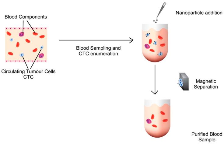 https://cdn.ncbi.nlm.nih.gov/pmc/blobs/a483/10610106/bd0726971def/pharmaceutics-15-02482-g009.jpg