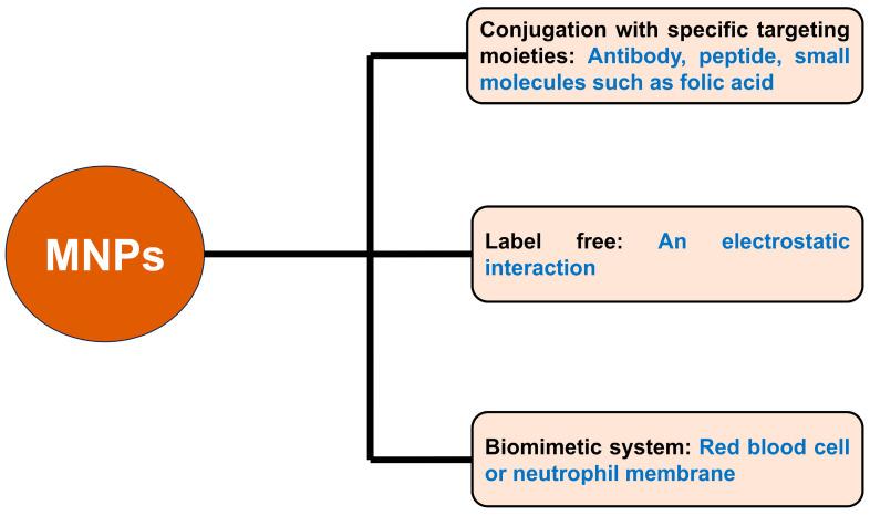 https://cdn.ncbi.nlm.nih.gov/pmc/blobs/a483/10610106/ca12d03ae03a/pharmaceutics-15-02482-g006.jpg
