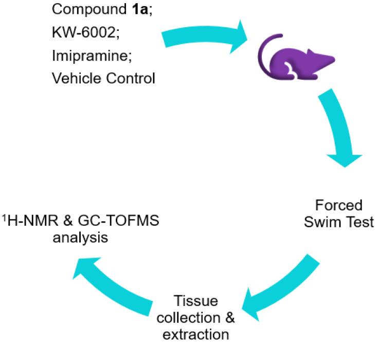 https://cdn.ncbi.nlm.nih.gov/pmc/blobs/a486/9000263/7c55a79f8266/molecules-27-02094-g005.jpg