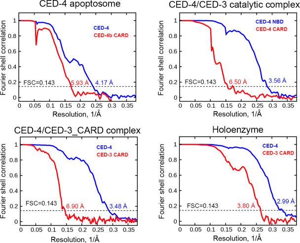 https://cdn.ncbi.nlm.nih.gov/pmc/blobs/a487/10320015/2c0cc8671f85/LSA-2023-02056_FigS3.jpg