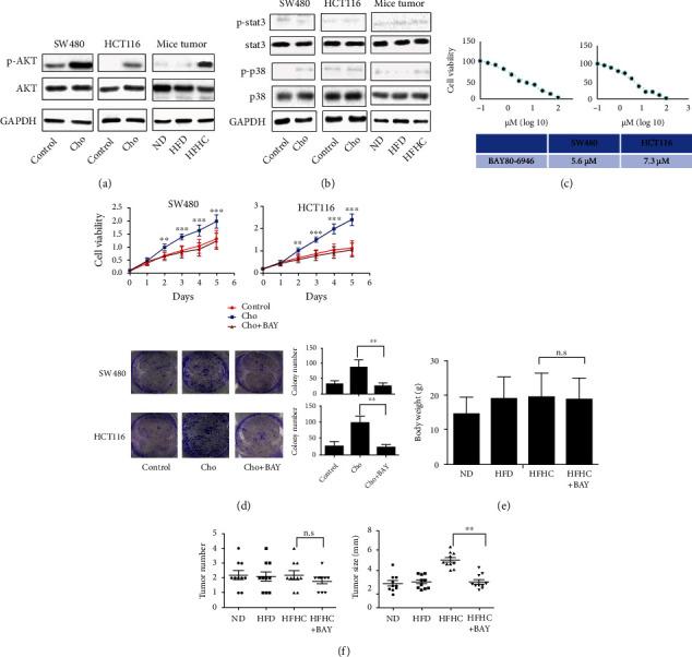 https://cdn.ncbi.nlm.nih.gov/pmc/blobs/a48d/9076305/2f894c0c91e2/JO2022-1515416.005.jpg