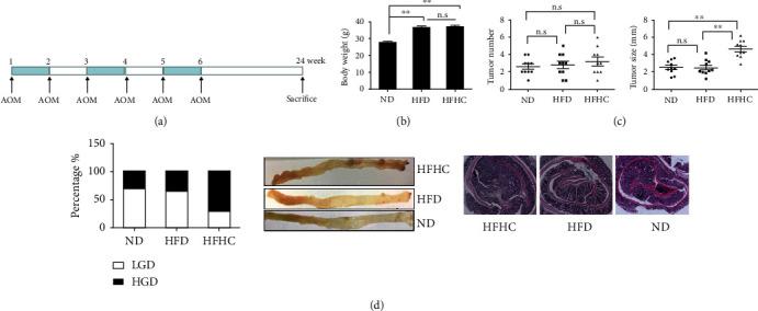 https://cdn.ncbi.nlm.nih.gov/pmc/blobs/a48d/9076305/c8f1a0382261/JO2022-1515416.002.jpg
