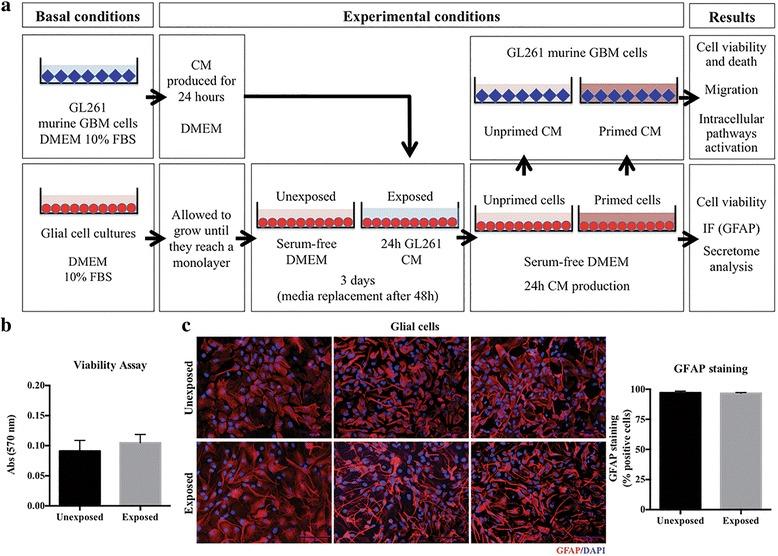https://cdn.ncbi.nlm.nih.gov/pmc/blobs/a490/5625790/7e2e47c1bcf4/12964_2017_194_Fig1_HTML.jpg