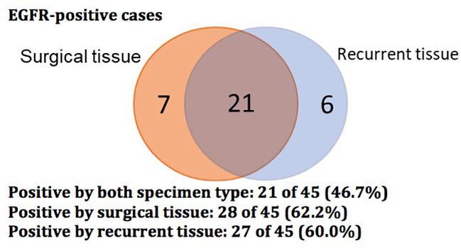 https://cdn.ncbi.nlm.nih.gov/pmc/blobs/a492/10368968/d191dc21902a/fonc-13-1116809-g001.jpg