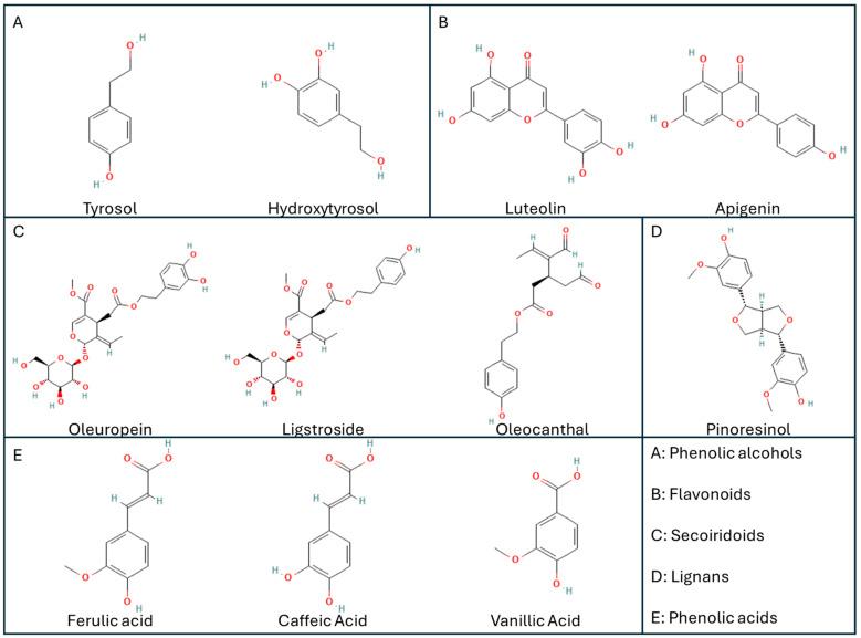 https://cdn.ncbi.nlm.nih.gov/pmc/blobs/a492/11677889/e9d6c3f42662/nutrients-16-04258-g001.jpg