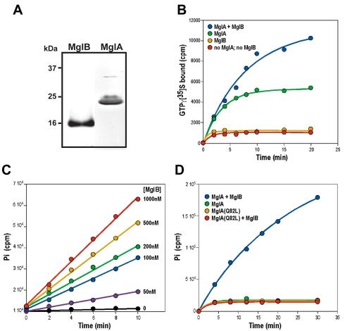 https://cdn.ncbi.nlm.nih.gov/pmc/blobs/a492/2907295/26944d36548c/pbio.1000430.g001.jpg