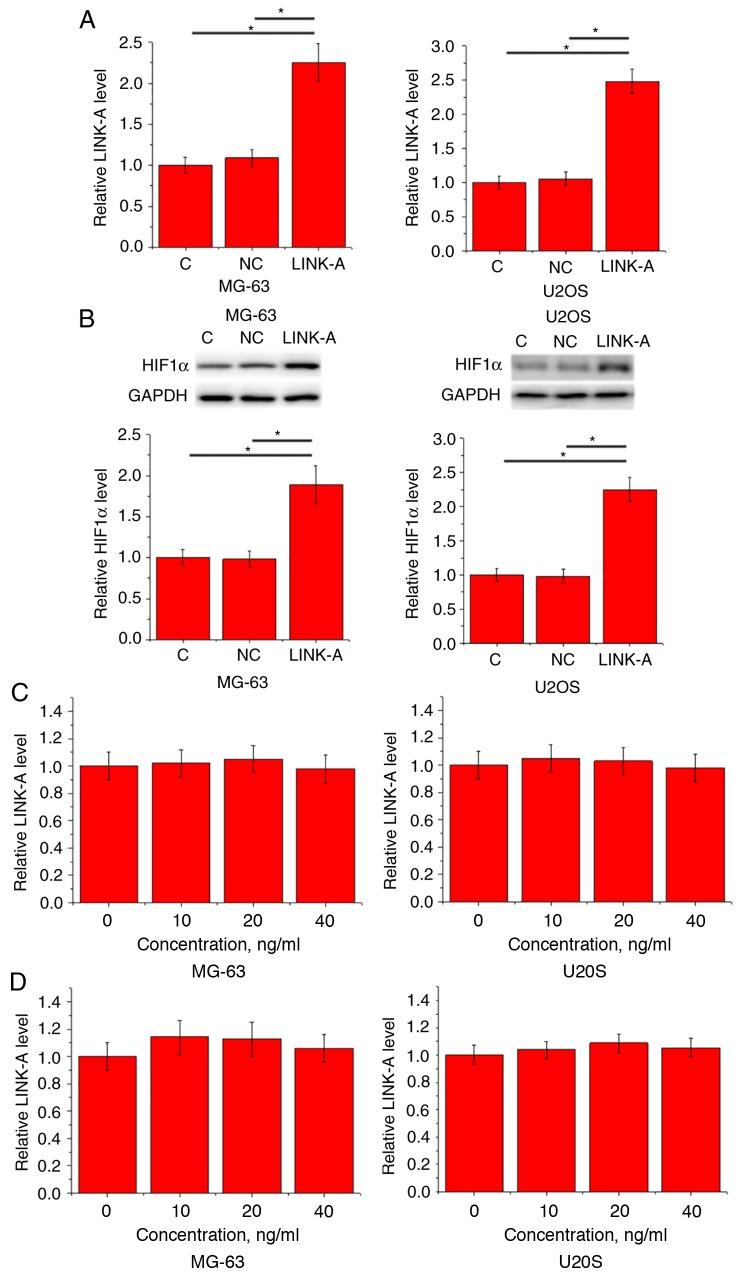 https://cdn.ncbi.nlm.nih.gov/pmc/blobs/a493/6507337/bd55813a835b/ol-17-06-5005-g03.jpg