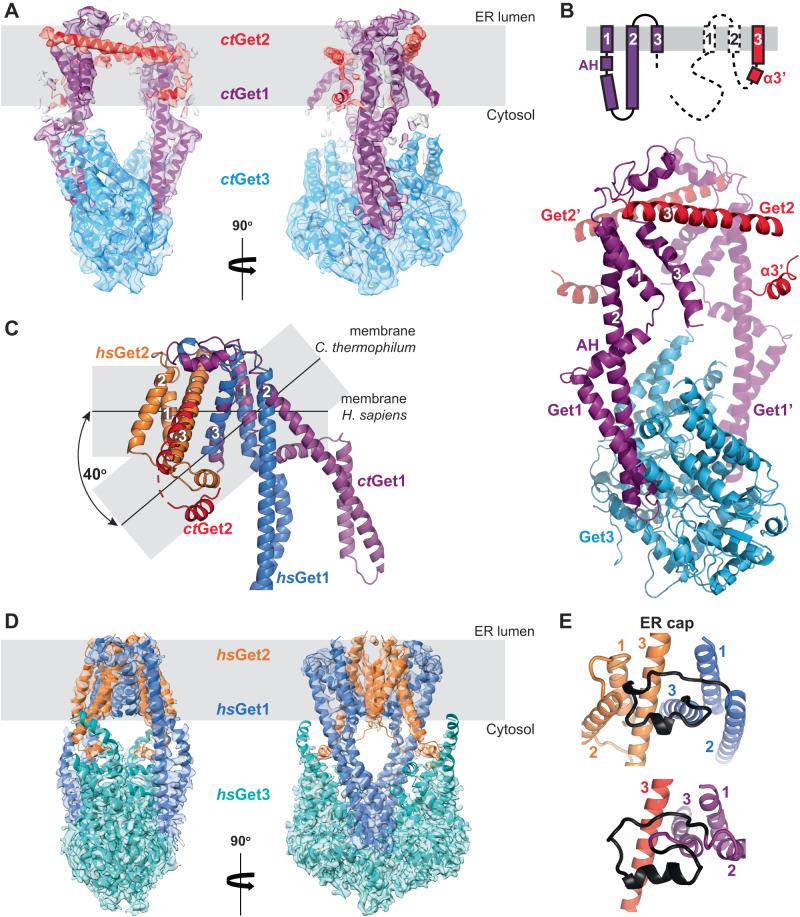 https://cdn.ncbi.nlm.nih.gov/pmc/blobs/a495/10646013/8afead89d124/41467_2023_42867_Fig2_HTML.jpg