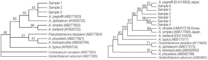 https://cdn.ncbi.nlm.nih.gov/pmc/blobs/a496/4510688/dc50efd9e449/kjp-53-3-349f2.jpg