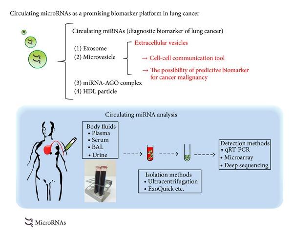https://cdn.ncbi.nlm.nih.gov/pmc/blobs/a497/4176915/cda802d1ba1e/BMRI2014-486413.002.jpg