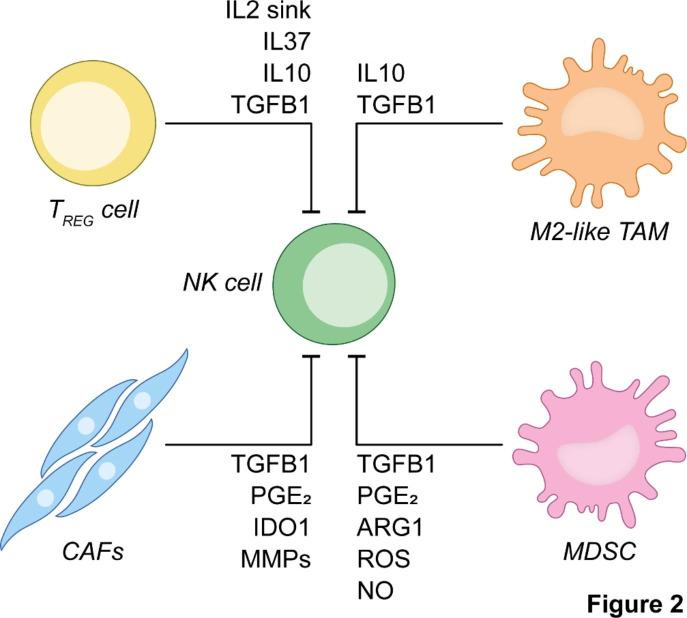 https://cdn.ncbi.nlm.nih.gov/pmc/blobs/a497/9623927/285909a16fc6/12943_2022_1672_Fig2_HTML.jpg