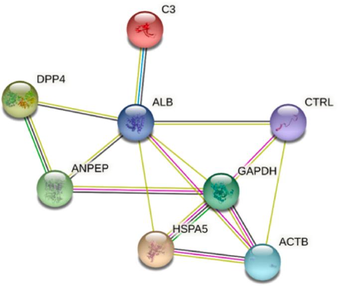 https://cdn.ncbi.nlm.nih.gov/pmc/blobs/a498/11803157/446079d6a03f/gr7.jpg