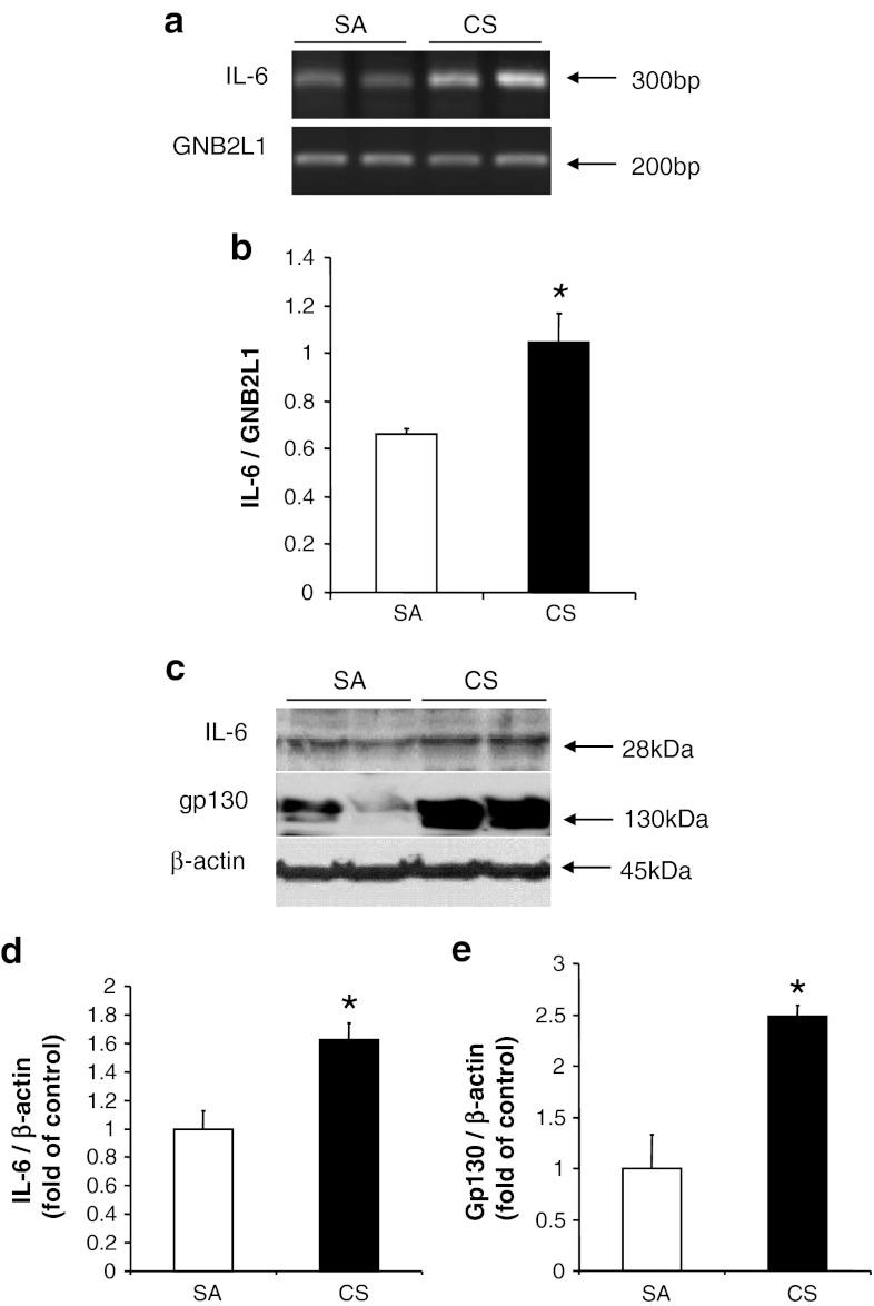 https://cdn.ncbi.nlm.nih.gov/pmc/blobs/a498/3368107/12ef35b9f83f/12640_2011_9301_Fig1_HTML.jpg