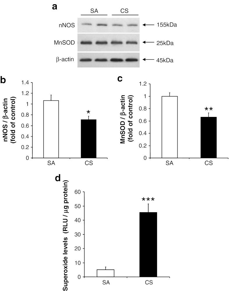 https://cdn.ncbi.nlm.nih.gov/pmc/blobs/a498/3368107/46b18d0c74a1/12640_2011_9301_Fig4_HTML.jpg