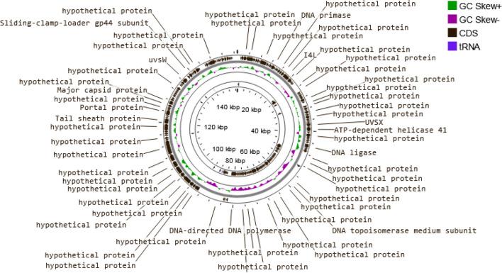 https://cdn.ncbi.nlm.nih.gov/pmc/blobs/a49a/11179266/eda5d16cbbbd/12866_2024_3355_Fig5_HTML.jpg